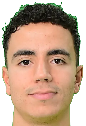 Ashraf El Mahdioui