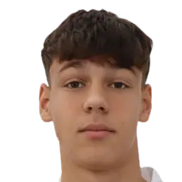 Vladan Carapic