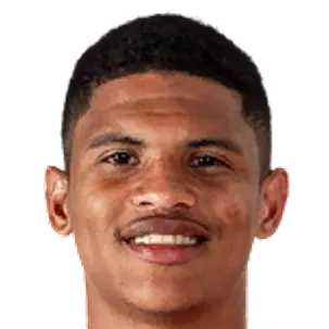 Nerban lewuis diaz pena