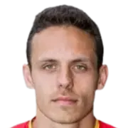 Raúl Stefan