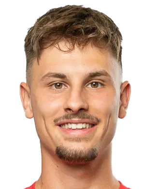 ajdin bajric