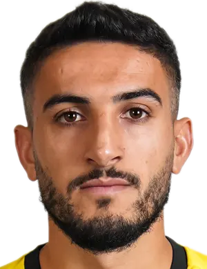 H. Çelik