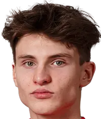 Arnas voitinovicius
