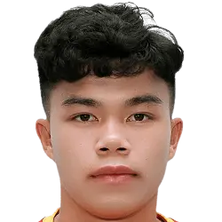 Phuong van ha
