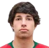 Manuel Jose Farinha de Figueiredo