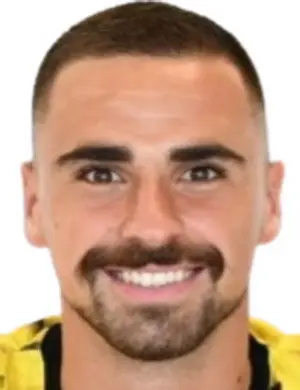 hamza hodzic