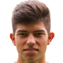 Ivan sarcevic
