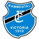 FC Bammental