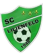 SC Lilienfeld Youth