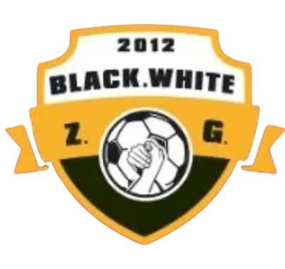 Tim Zigong