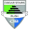 Bintang Cedar