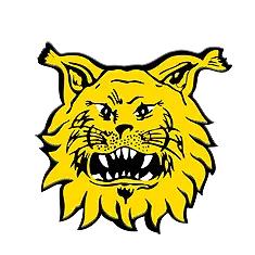 Ilves Youth