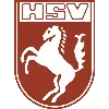 Hammer SpVg Youth