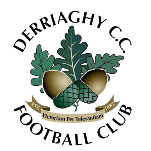 Derriaghy FC Derriaghy FC