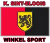 VC Winkel Sport