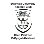 جامعة سوانسي