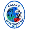 Montebelluna