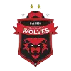 Wollongong Wolves U20