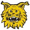 Ilves Tampere U20