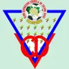 فالديبيناس