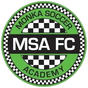 Bidhannagar MSA