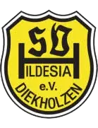 SV Hildesia Diekholzen Youth