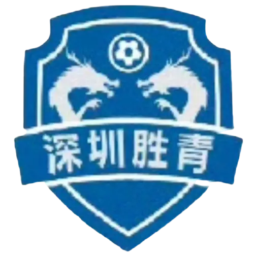 Shenzhen Shengqing