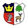 সিন্ডারফোর্ড টাউন