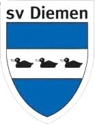 SV Diemen Youth