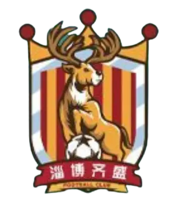 Zibo Qisheng(2015-2024)