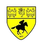 নিউমার্কেট টাউন