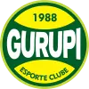 गुरुपी