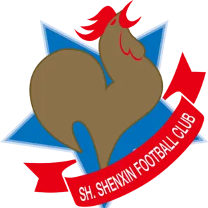 Shanghai Shenxin(2003-2020)