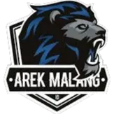 Arek Malang