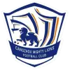 Cangzhou Mighty Lions FC(2011-2025)
