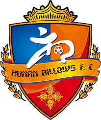 हुनान बिलोज़ U17