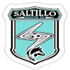 Saltillo FC Saltillo FC