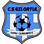 Targu Carbunesti