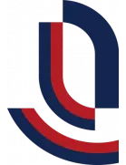 Chongqing Liangjiang Athletic(1994-2022)