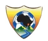 রয়াল ভিশন