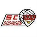 Dudingen
