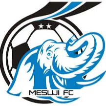 Mesuji FC Mesuji FC
