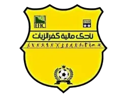 مالية كفر الزيات