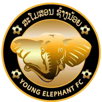 Young Elephant