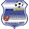 होरीचोन