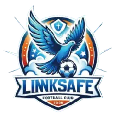 Ji'nan Linksafe Ji'nan Linksafe