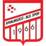 Ayvalikgucu Belediyespor