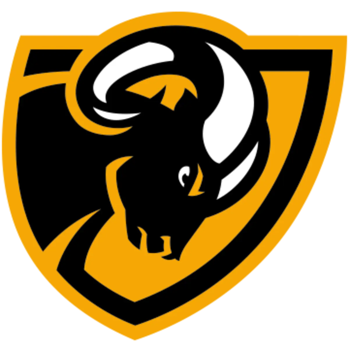 VCU Rams(w)