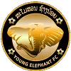 Young Elephants Young Elephants
