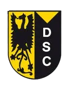 VV Diepenveen Youth